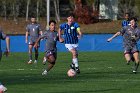 MSoc vs Springfield  Men’s Soccer vs Springfield College in the first round of the 2023 NEWMAC tournament. : Wheaton, MSoccer, MSoc, Men’s Soccer, NEWMAC